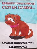 Galerie photo Affiches 5ème - 2025-2026